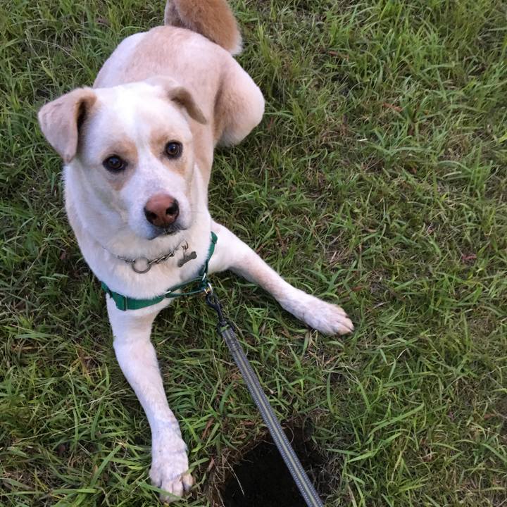 673324b0 6109 4eba 8282 7d8413affac1