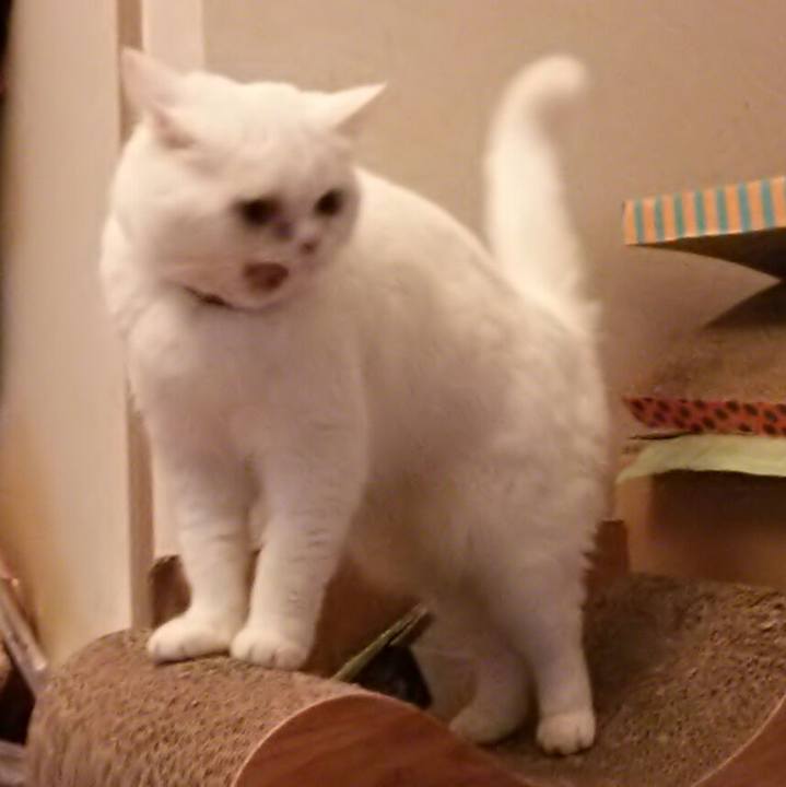 6733583b 7504 47d5 8f85 ceda0cc03f80