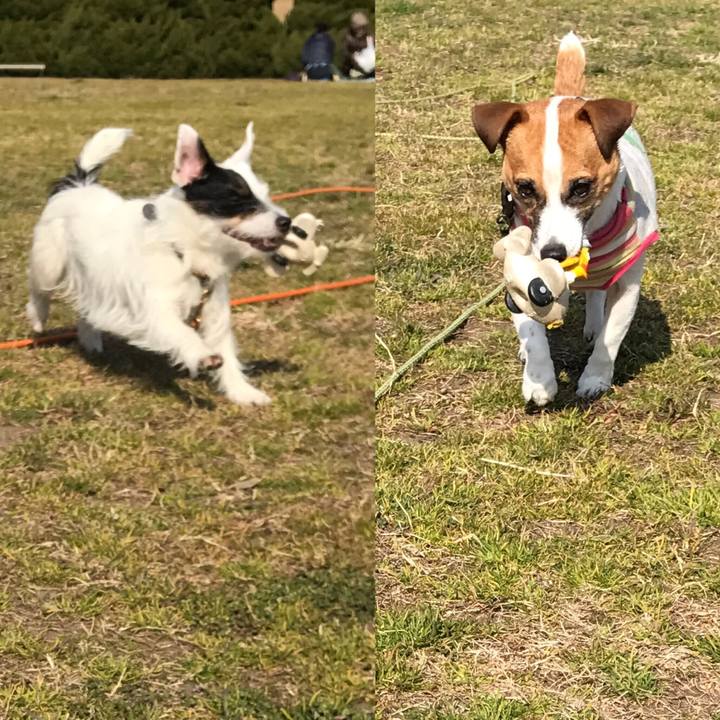 67349d96 80df 4c89 ae19 e6dbb06c51c6