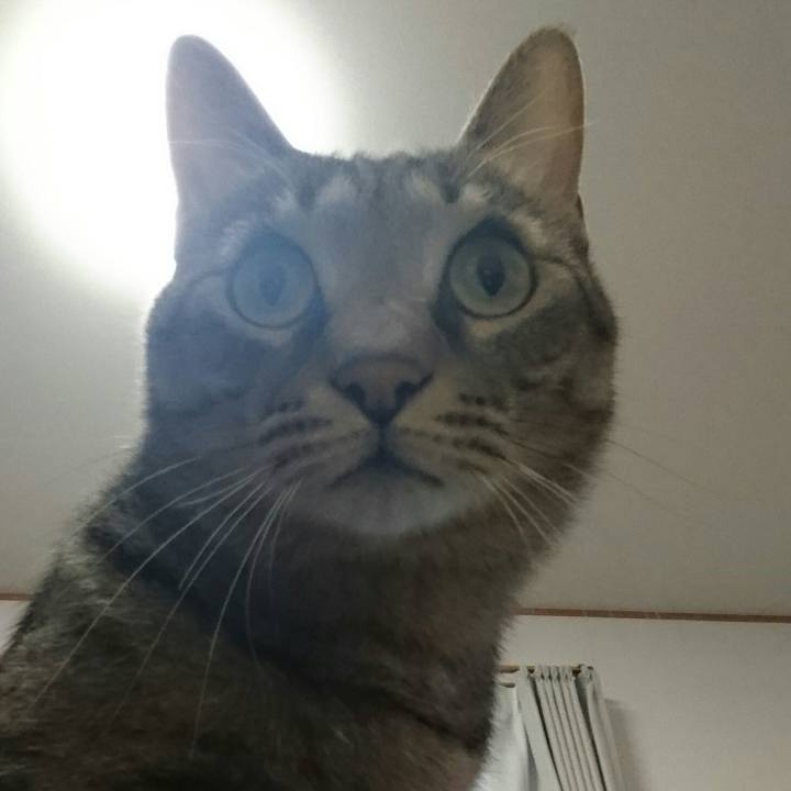 6734b5e4 7bdc 4fe8 9361 39825604bb55