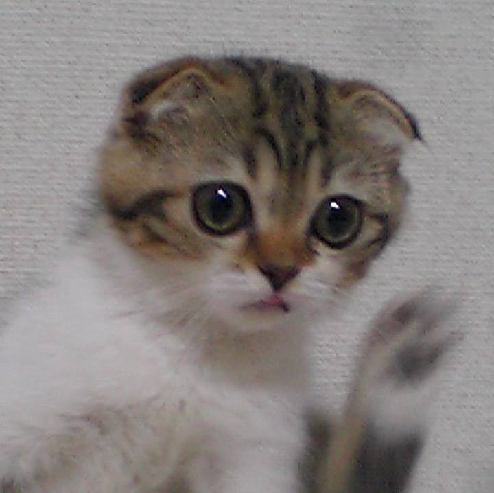 67351313 dc3b 4d3a a138 453c1441e6fb