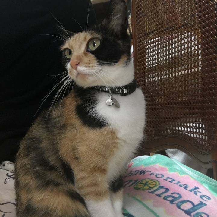 67356f66 3247 41d1 a9d4 38ff505b4c41