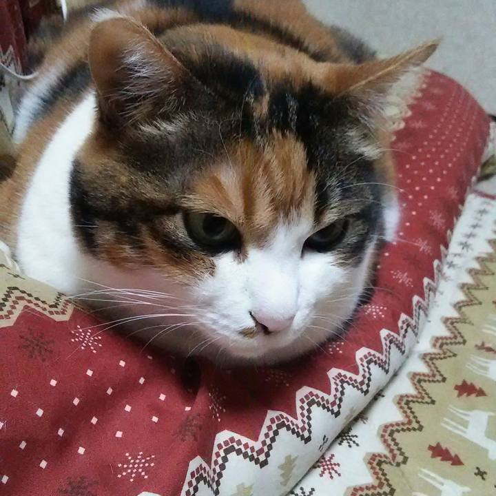 67367a1d 350e 44fa 869b 94fbb32aaa02