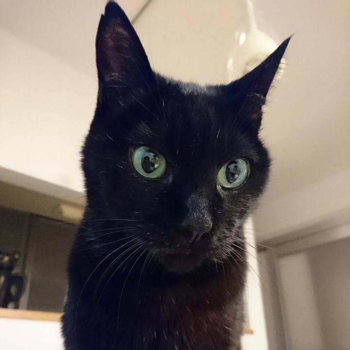 67369046 4796 4f2a b5c7 a60d17fe4534