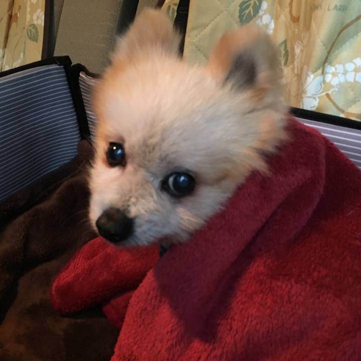 6736da87 dbf6 49c8 89e0 f97397c0df91