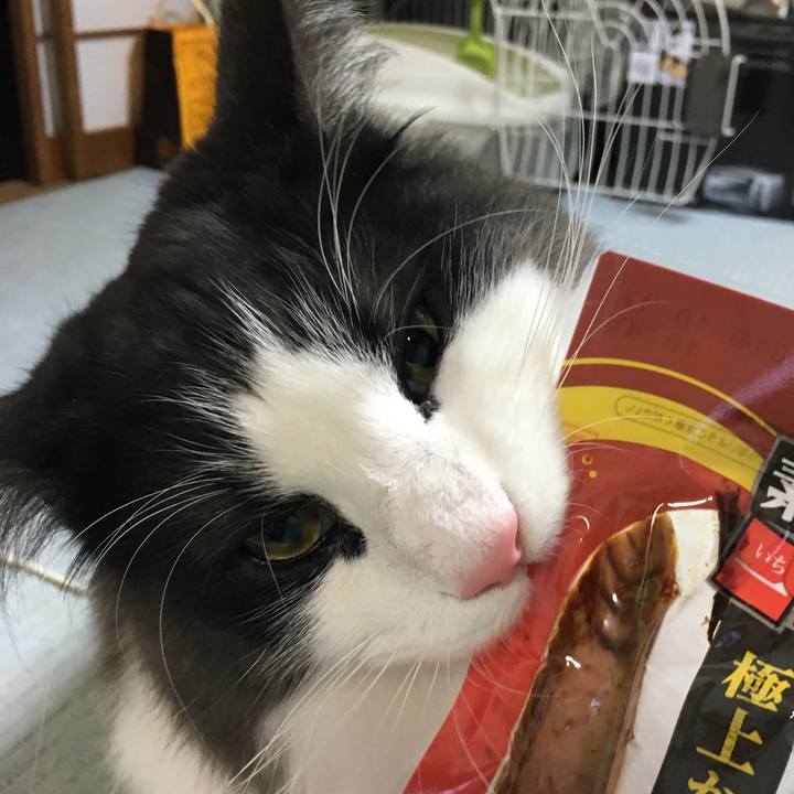 6736f698 3bd4 40b5 a096 b73d5bd8ca5e