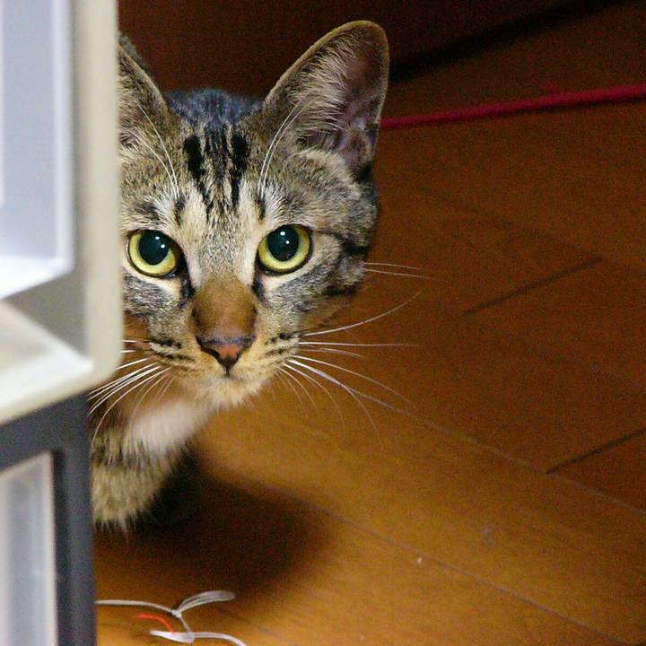 673757ea da6f 4db9 8517 6b748c99bea2