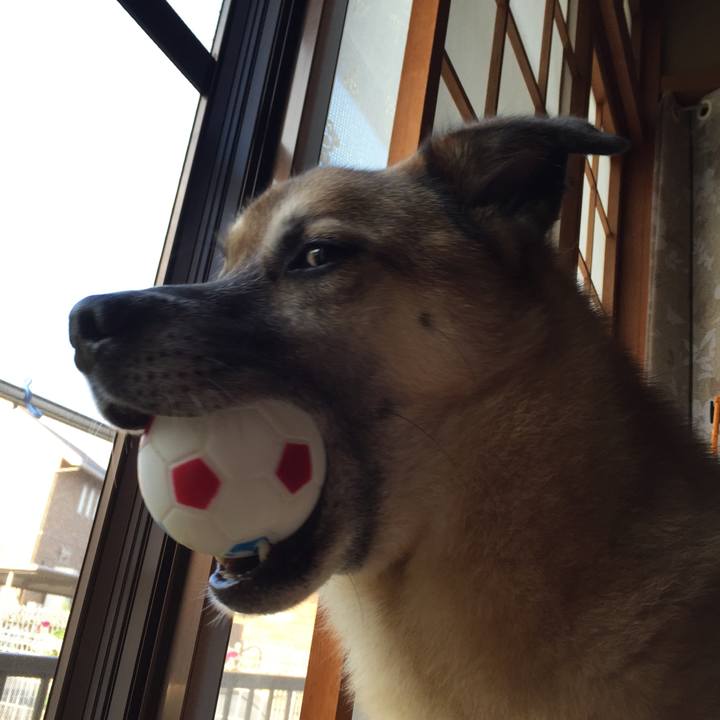 6737b2b0 337f 49cd 93d2 af037b460ff1