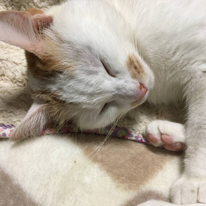 6737ff49 42d7 4aa6 84a8 0244e8a481be