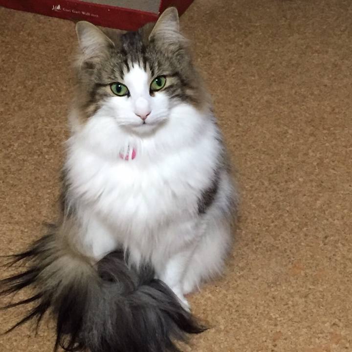 67382a58 2adf 4ba8 b806 a8d890b4f27a