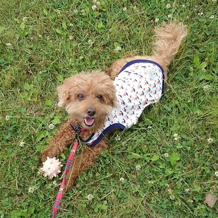 67388828 8919 40b8 aa13 e5de320a508d