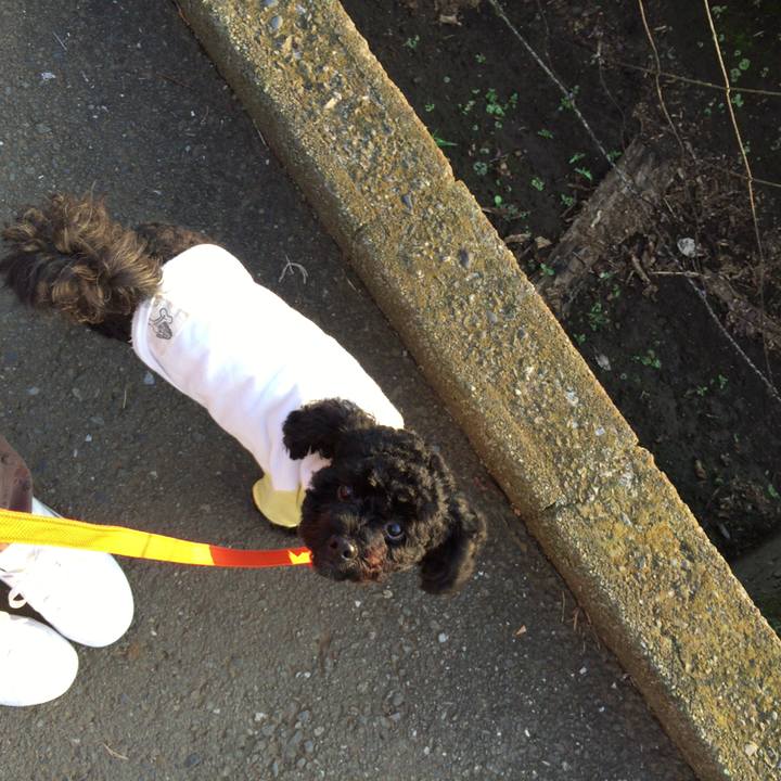 6738a809 de49 480c a3b8 5abad7e185f3