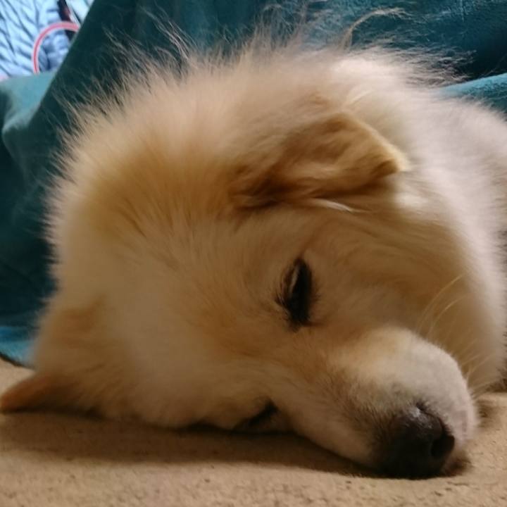 6738aaf4 ed09 41c4 9af5 1f70fb2cf3a3