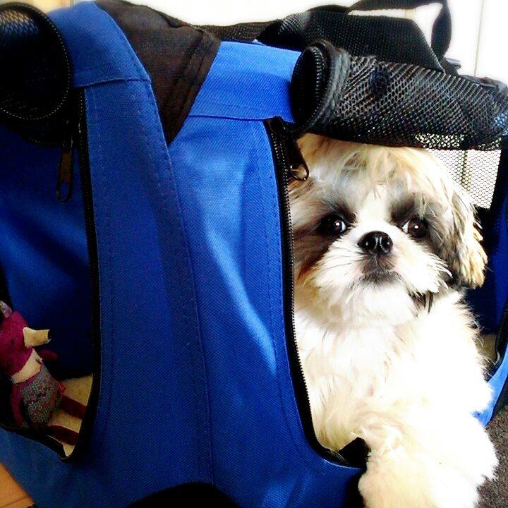 673916ae a873 4d47 9a2e 5e5d6494e419