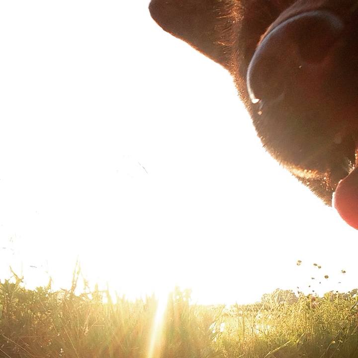 67393ee8 2ec6 4d94 abe5 93608794beea