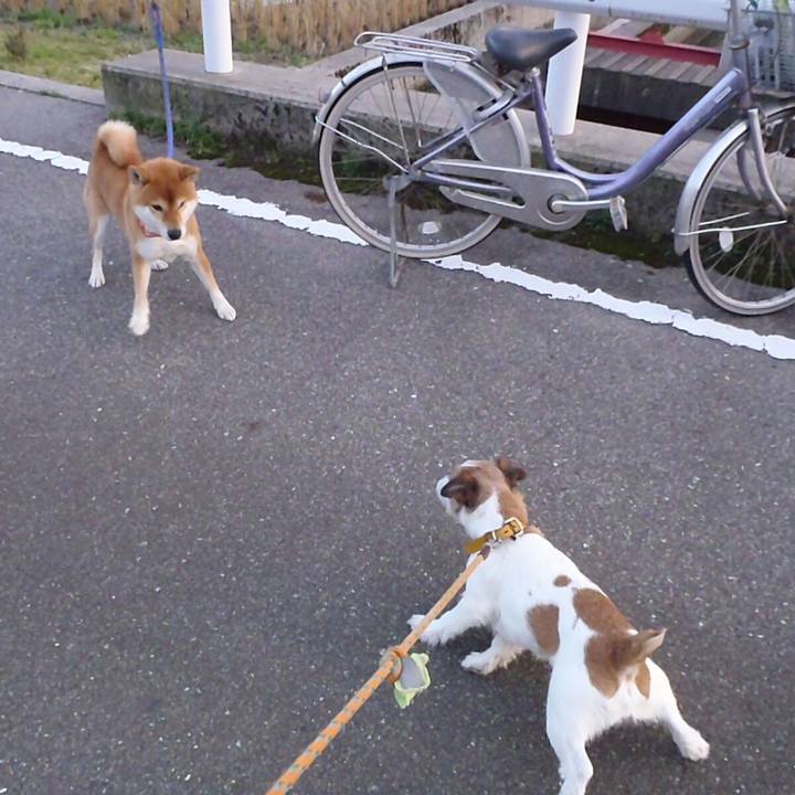 673984af b1da 439b bb6c 42a888ed64dc