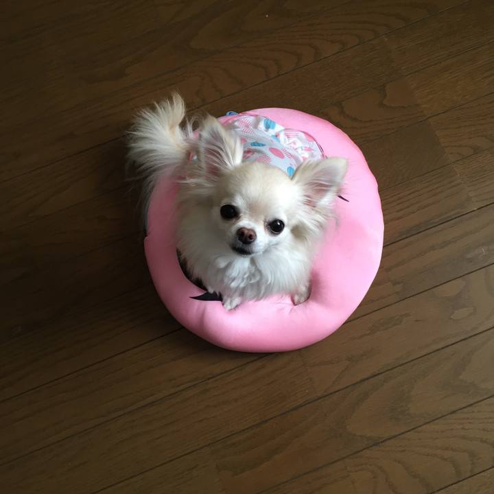 6739b399 931d 4b13 9e37 a33bef835a23