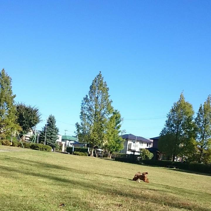 6739c790 d087 405e b588 7593ca1f342c