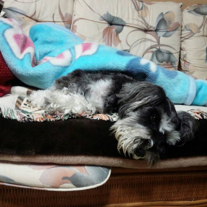 6739dd9a 7354 4498 a082 32f9a3547b96