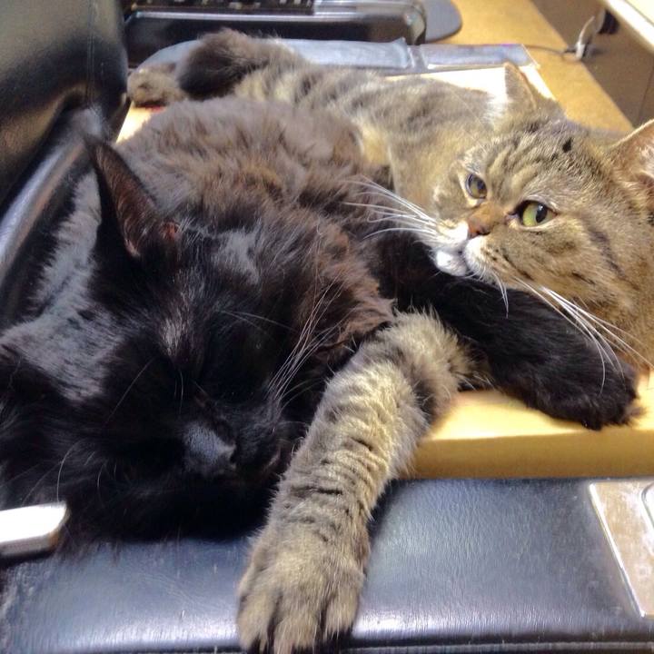 6739df11 de60 4821 9a72 d86497234457