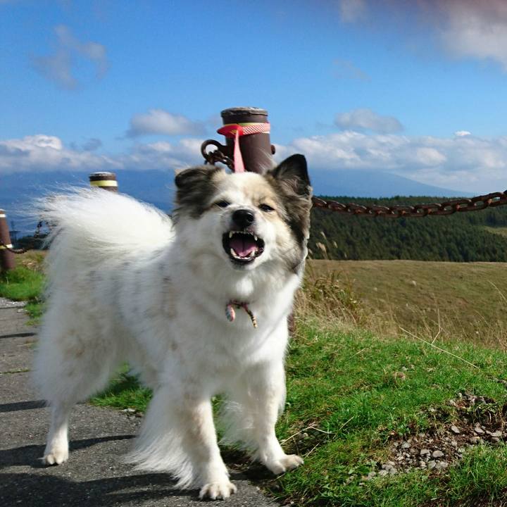 673a19b6 ae44 4ad4 90bb b04066e88e49