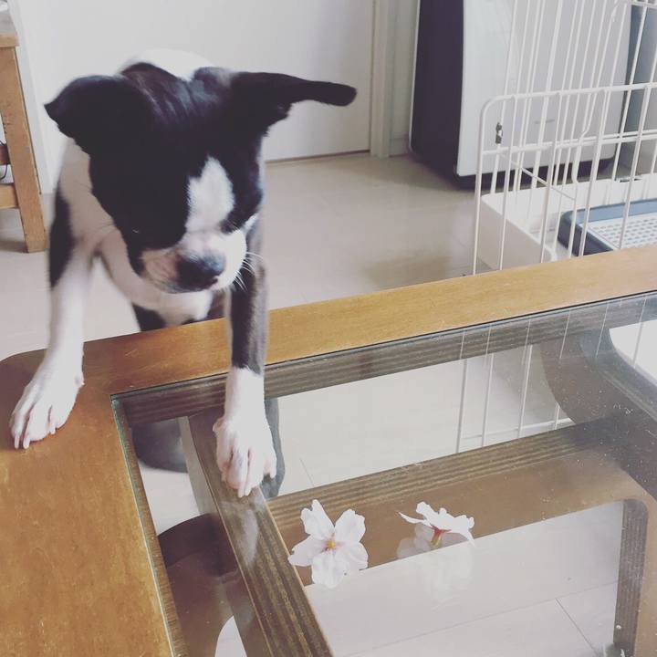 673ac7f4 db68 4501 9e0d 015edcdf89b7