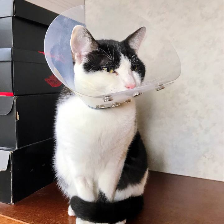 673b8578 05cb 4c0b a7a3 f59c9f7d0af9