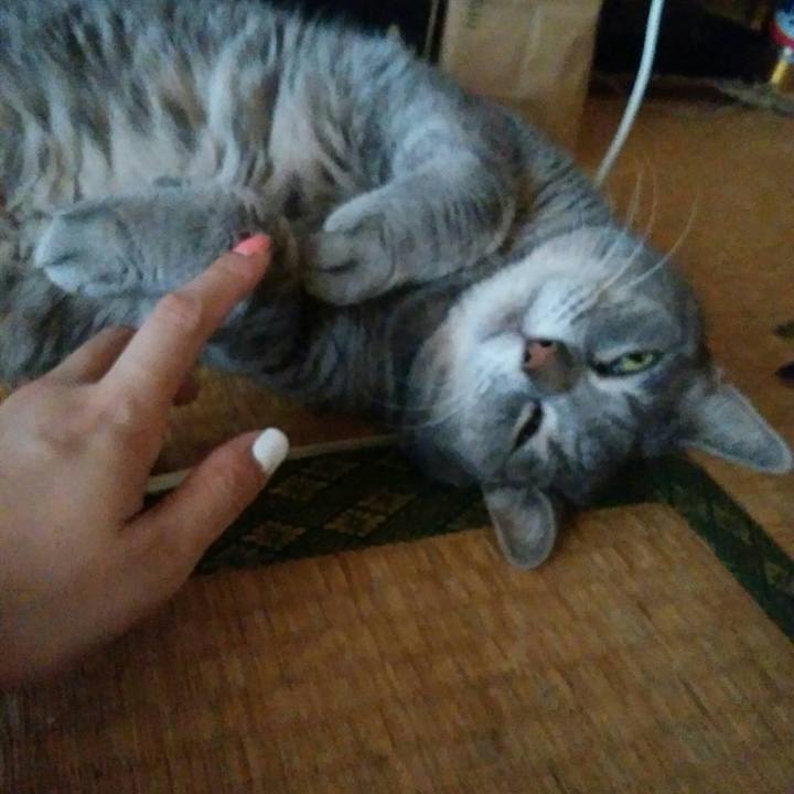 673c28b5 8e16 4e92 83dd 5c5d556a543a