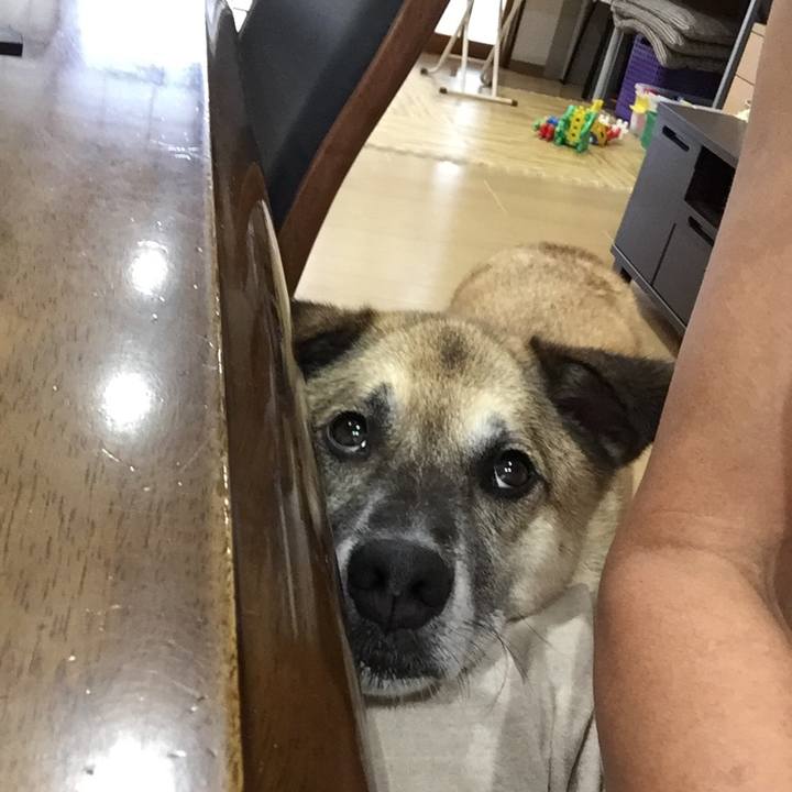 673c3fe1 f96f 43a4 88df d12d8aa446a3