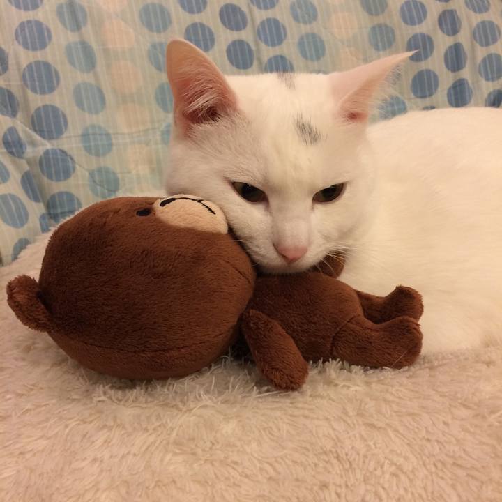 673c5cfe 96e4 49c5 bfa0 a0aac0c31ee6