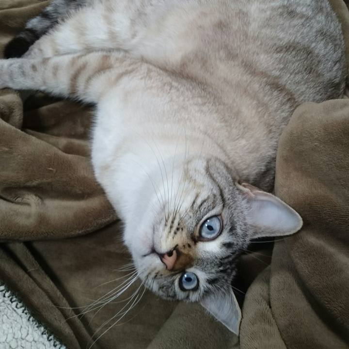 673c958c 792d 4891 bd99 4c3dc0a77f10