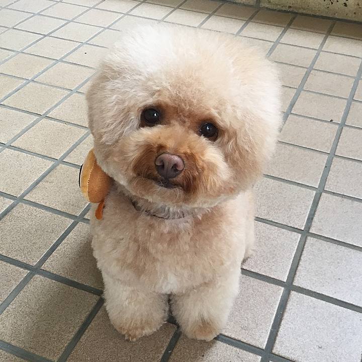 673cc843 287c 4695 9479 1b418db88c6a