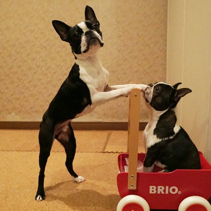 673d57bf 1e95 47d9 be78 9fe79c538063