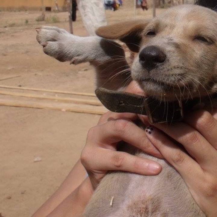 673d71d2 9758 46bf 8fdb 96b1ae524612