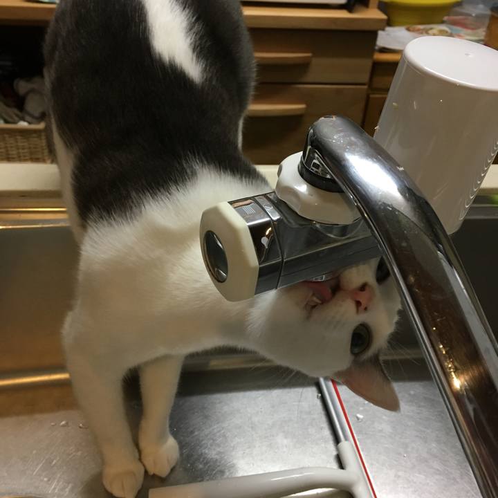 673d7a12 6cae 41e3 8b45 05df125a10b2