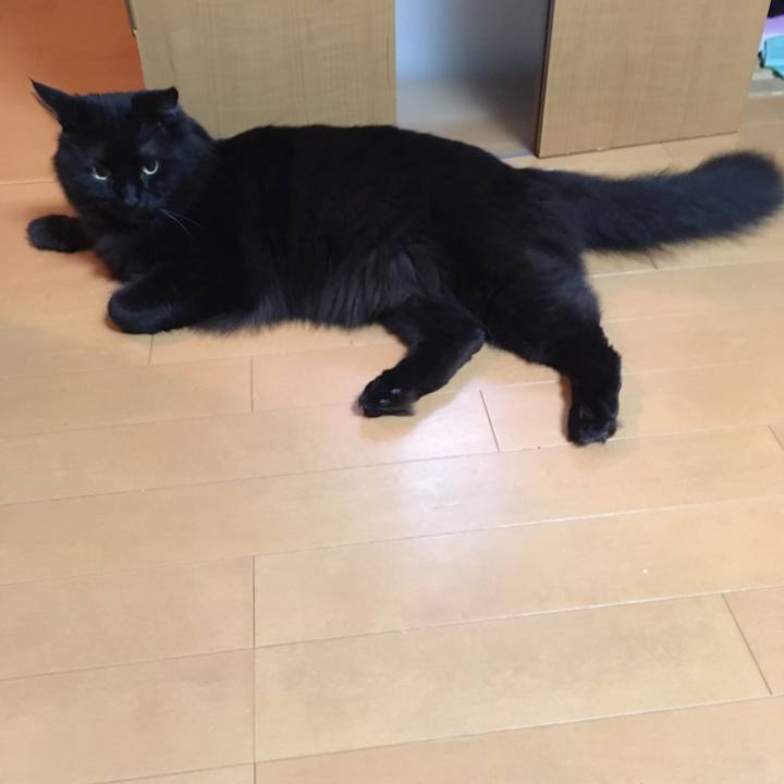 673d7a58 a568 4b2b a027 397f33814578