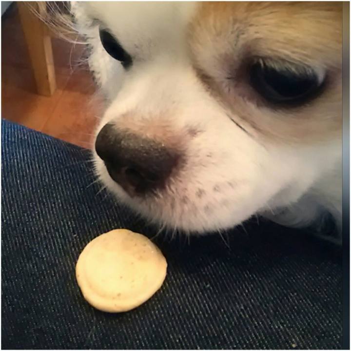 673d9bb0 d6e3 439e 9dd9 96acf081d9ec