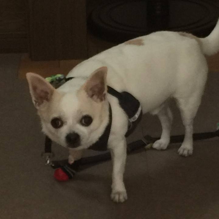 673dabe8 d26b 4790 a299 36a5e30f9a42