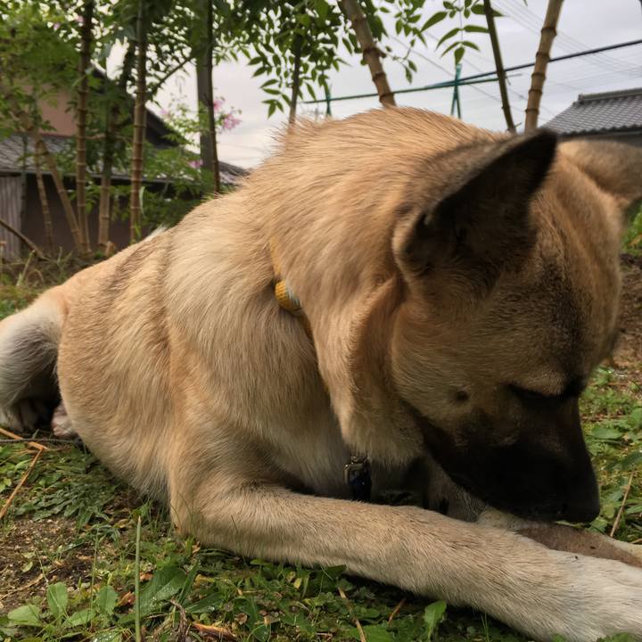 673df120 454a 4aad 85a0 14f5306f82aa