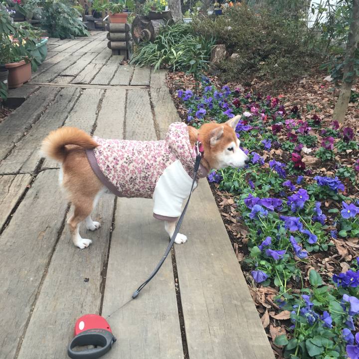 673f13f5 3619 4256 af62 99151d707fce