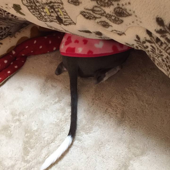 673f2424 52c5 4ab9 bd5c e9af05840553