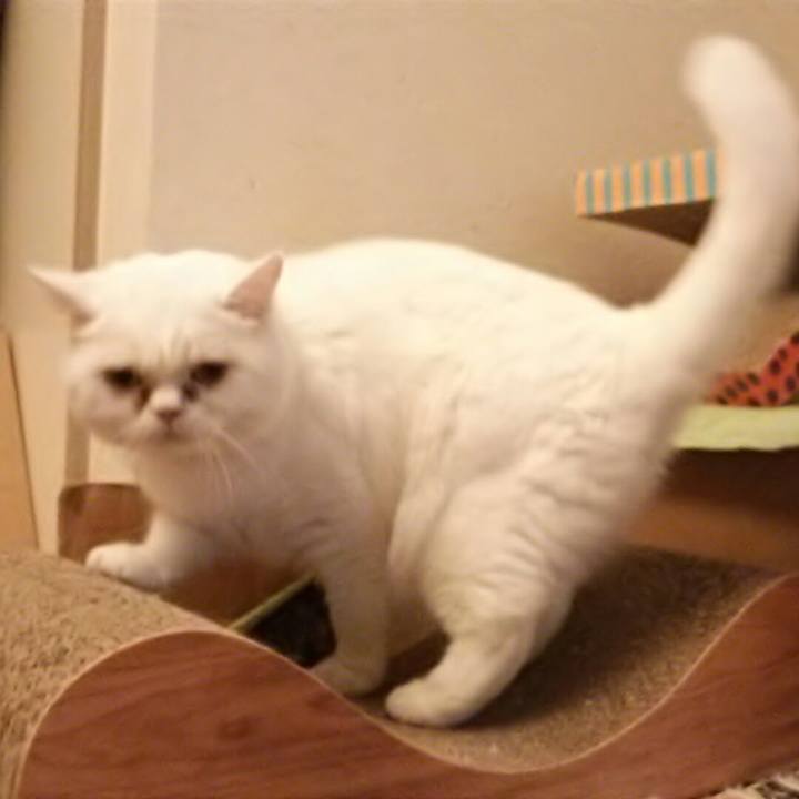 673f3b8c 8c14 4a56 8d32 15e37809f0b3