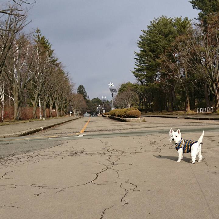 673f4d7f c26f 4779 afbd c411589ec72e