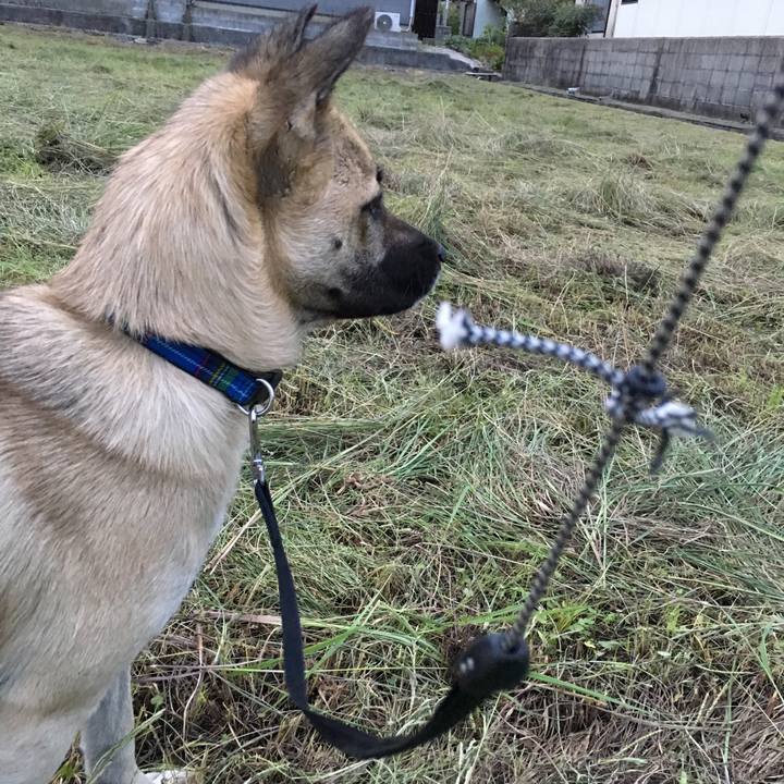 673f5997 fa34 474b 96ff a2c540e9632d