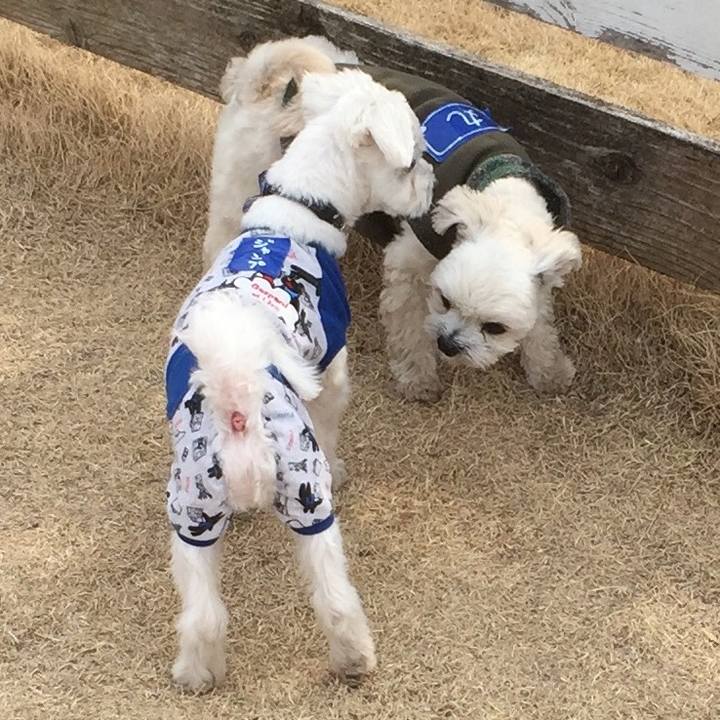 673f6b72 4bf4 4832 9a16 5c5b9134bd9c