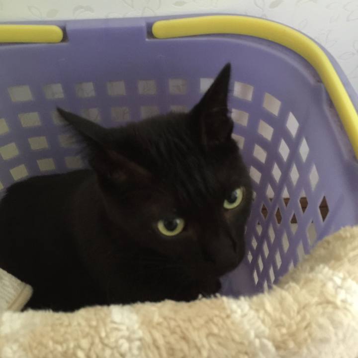 673fb79d 4e2f 4bc6 aebd 987376b7688a