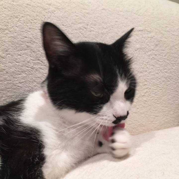 674007e4 26f7 47d9 9346 1ddb910b5182