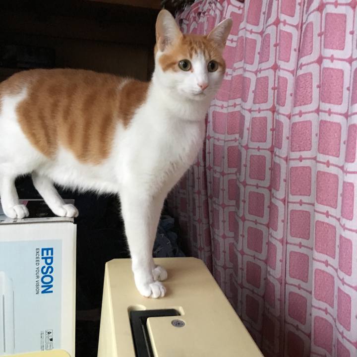 67404161 c06c 4eb7 81c6 db65841132f1