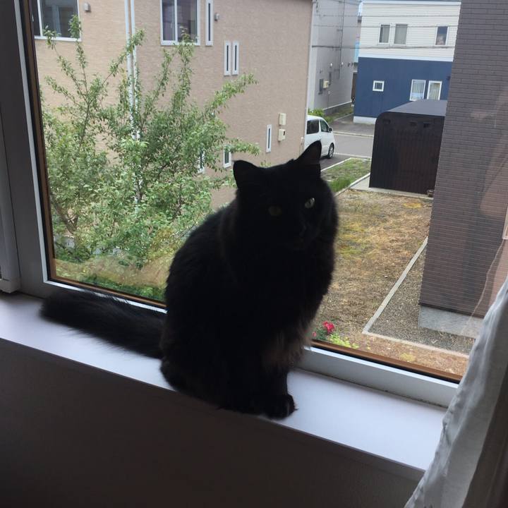 6740a6fd d981 4841 b9e4 c2321dbca8c0