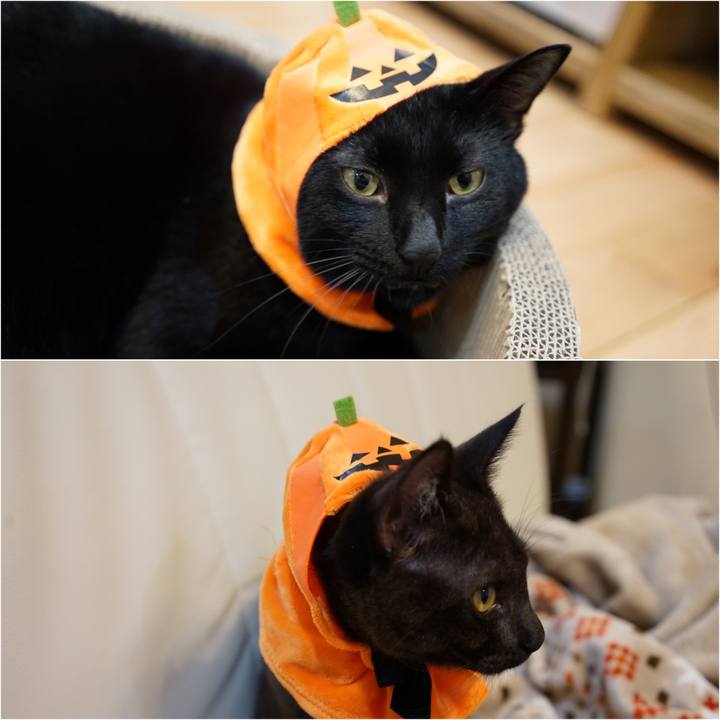 6740aa09 86ab 4bf3 9e73 e5ed74b4ab2c